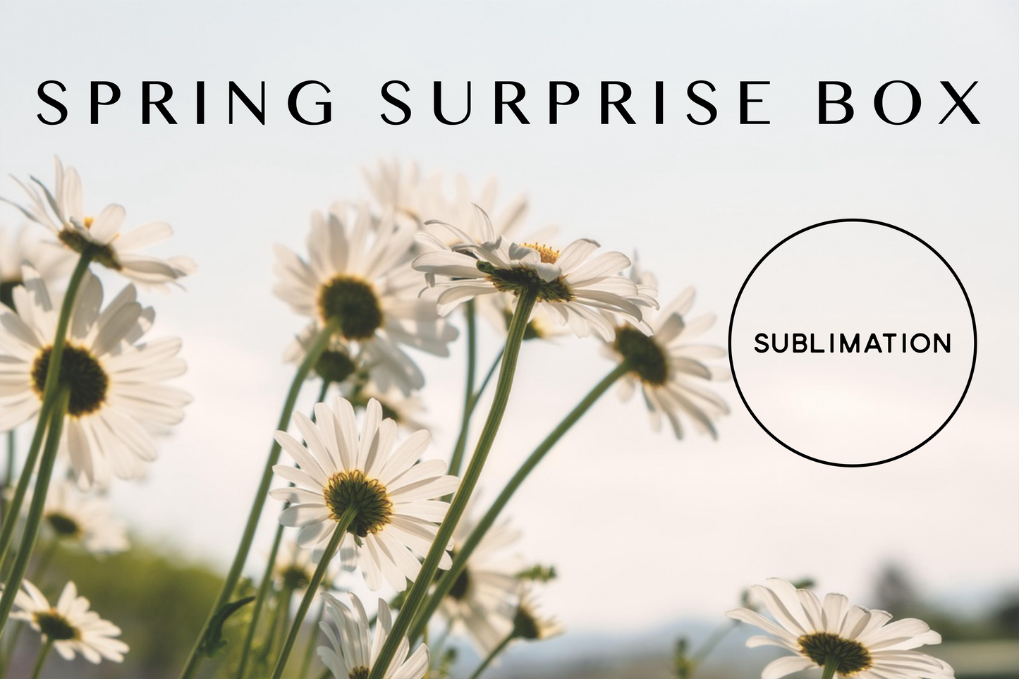 Spring Surprise Box- Sublimation